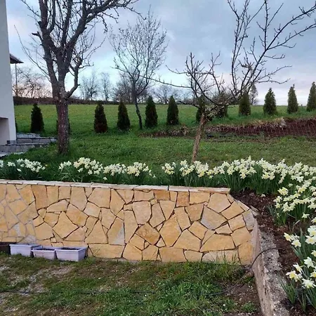 Nebojsa