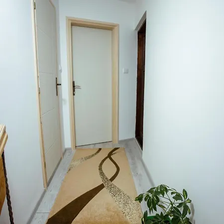 Nebojsa شقة *