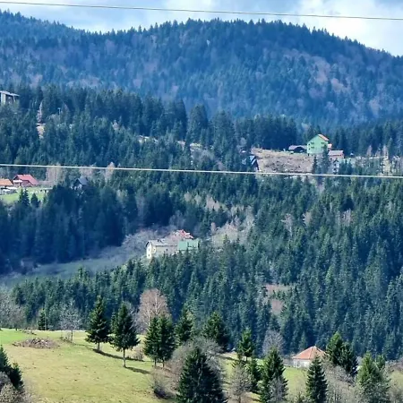 Nebojsa